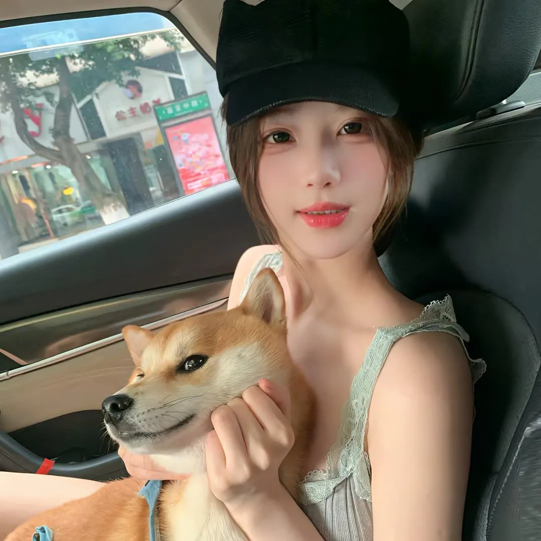 面目全飞
